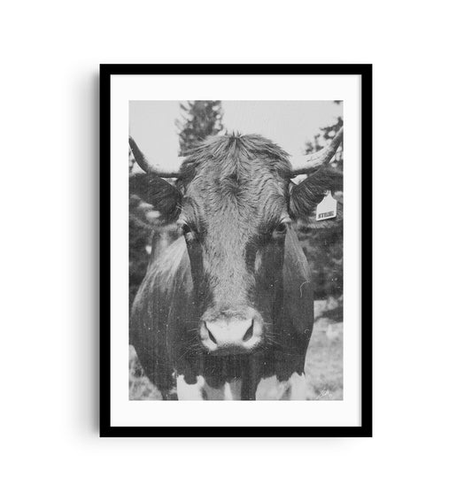 Steak by LACORTEMIKE - Fine Art-Print